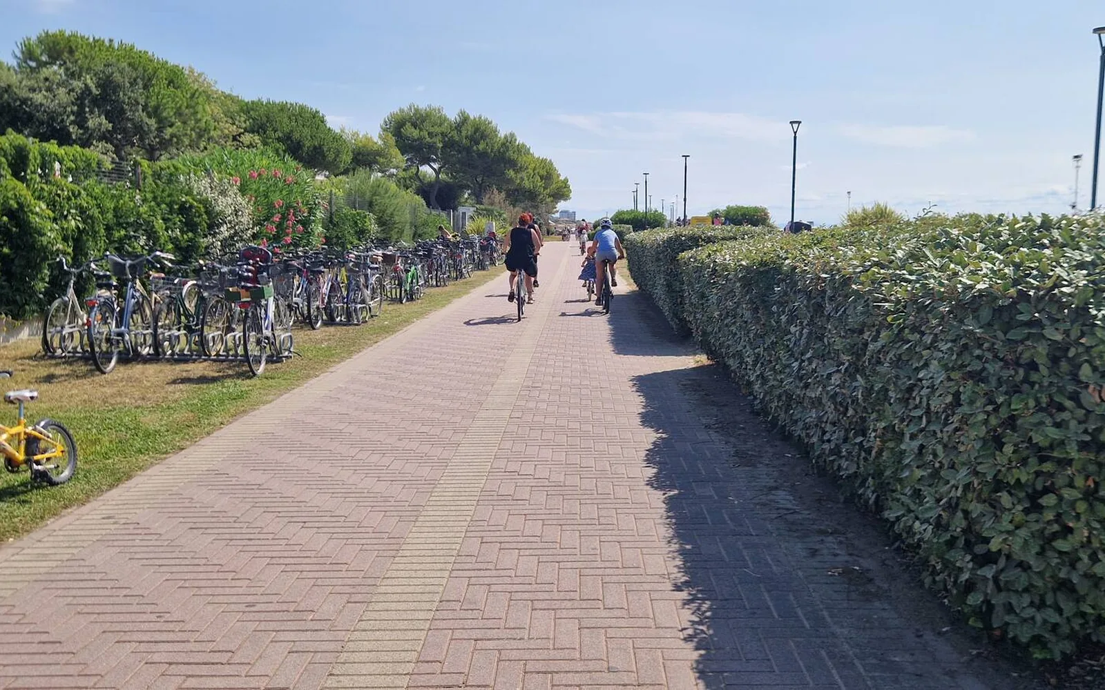 La pista ciclabile lungo la pineta — Casa Vacanze Monachy Beach, Bibione